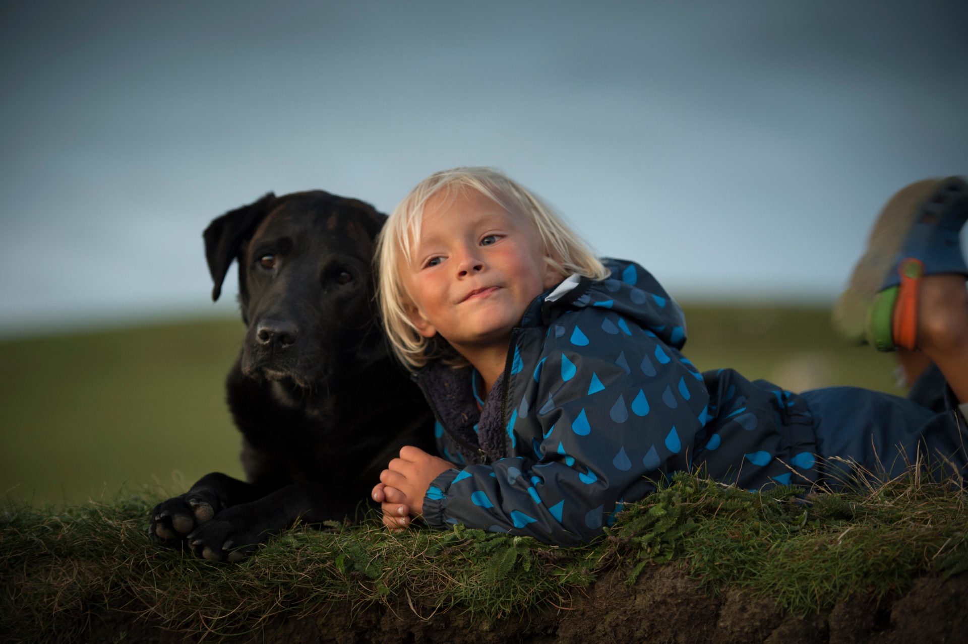 F1HFDT Young boy lying down with dog in field