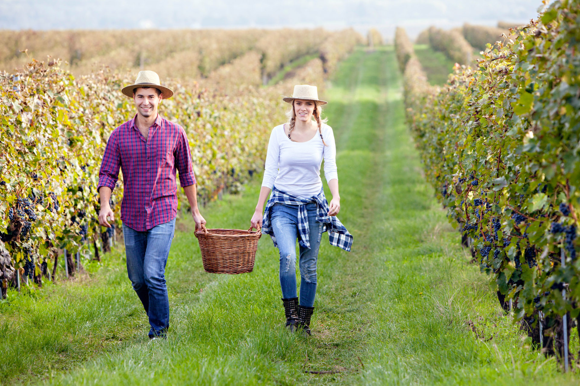 Young couple carrying basket, Slavonia, Croatia.