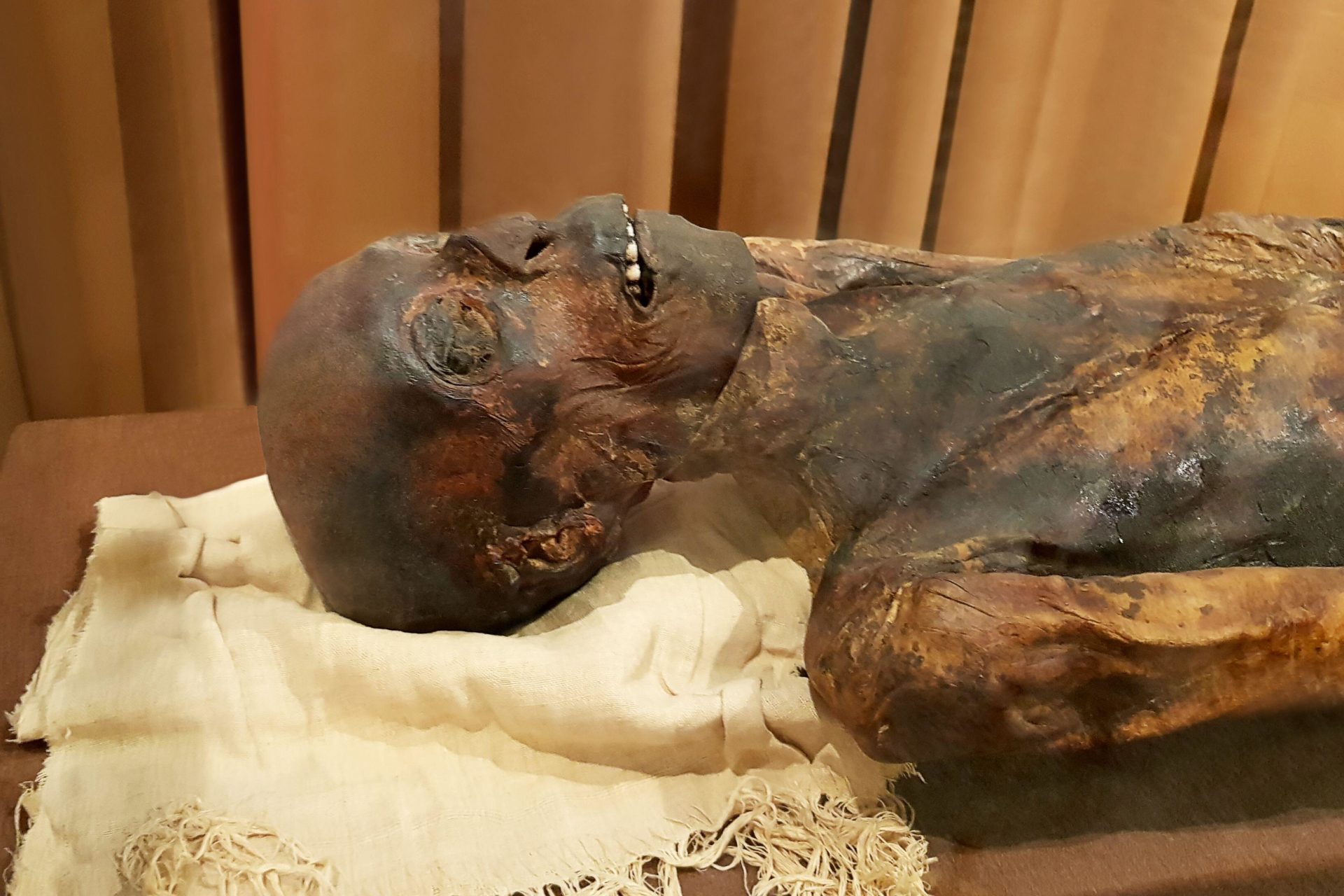 2AJGTP3 Egyptian Ancient mummy, immemorialHead close-up