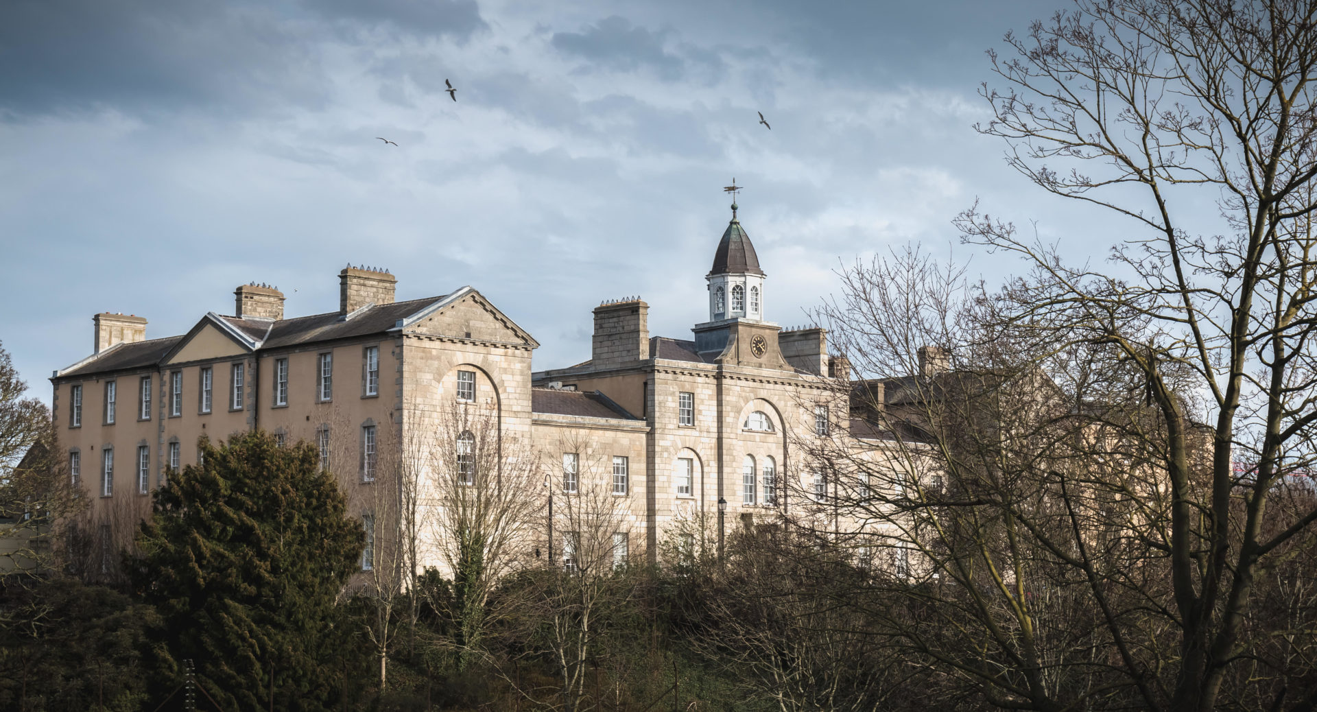DPP directed no prosecution against 67% of sex offence suspects in 10 years