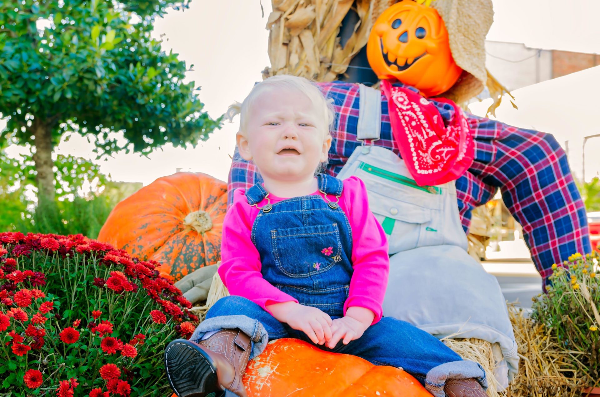 A little girl cries as she sits on a pumpkin for a fall portrait, Oct. 21, 2011, in Columbus, Mississippi.