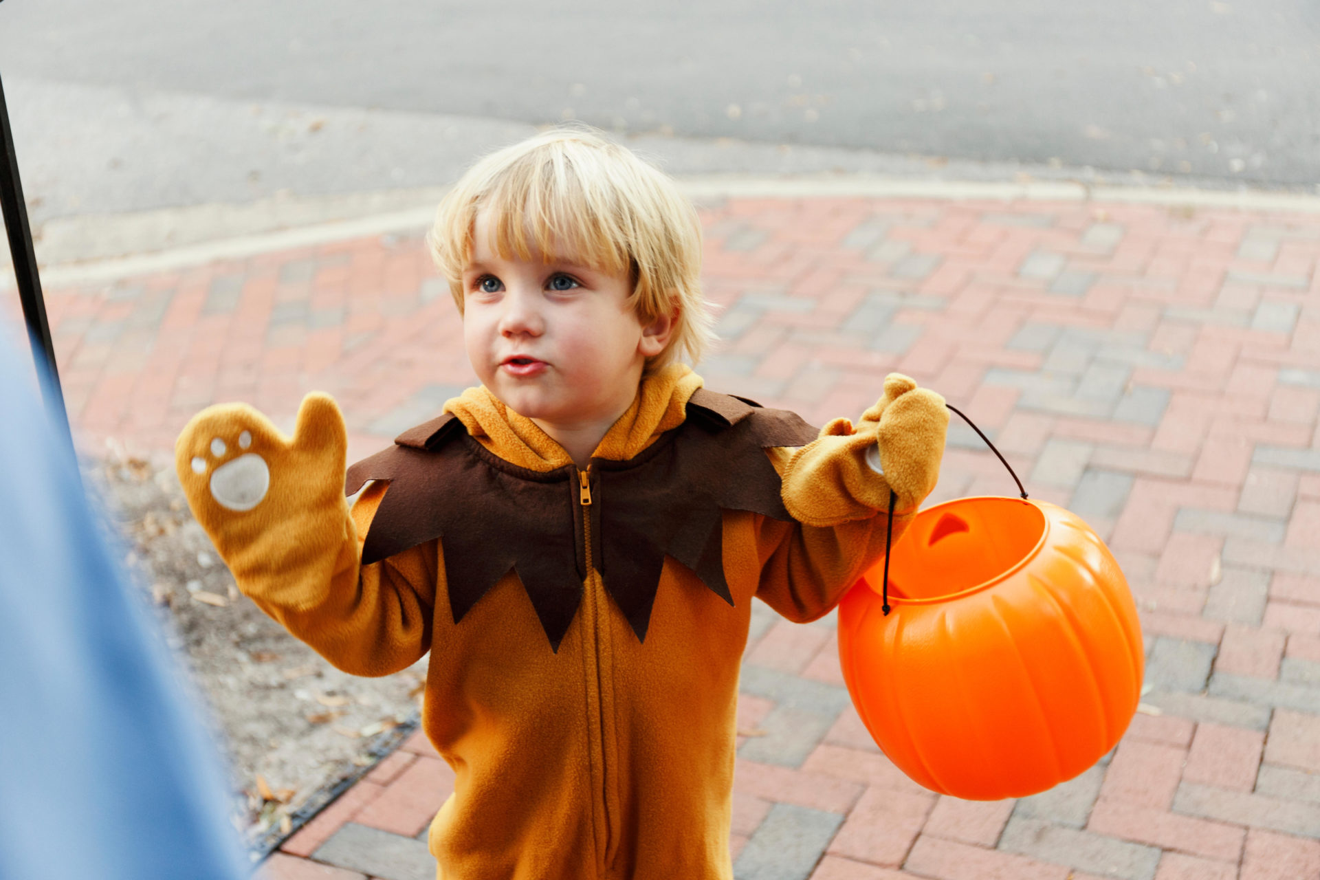 Boy in lion costume trick or treating on Halloween.