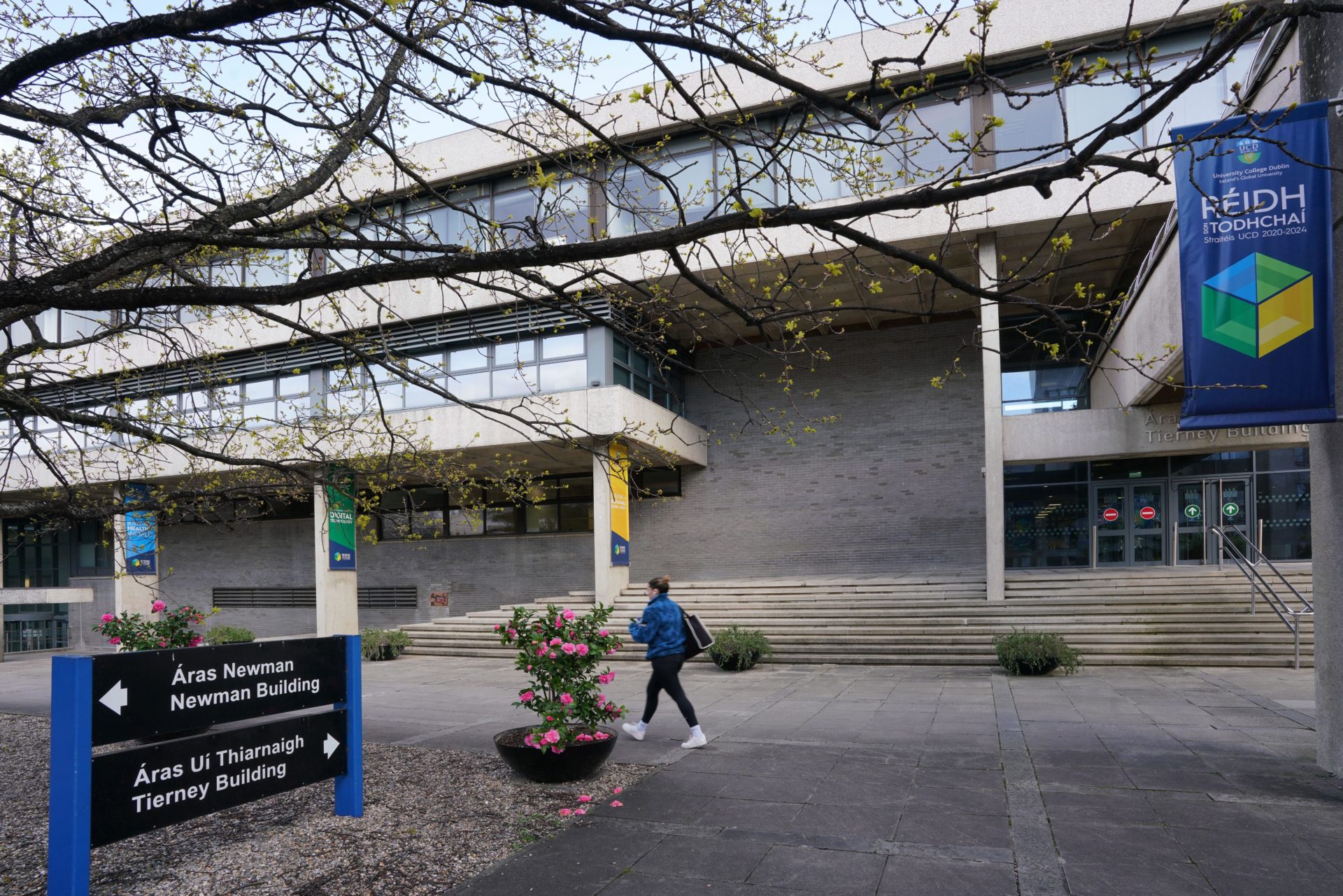 More than half of Gaza scholarship students were refused visas