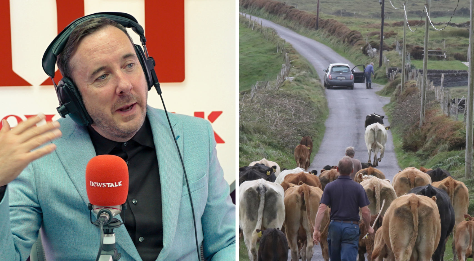 Nitrates derogation is 'shameful' for Ireland - Shane Coleman