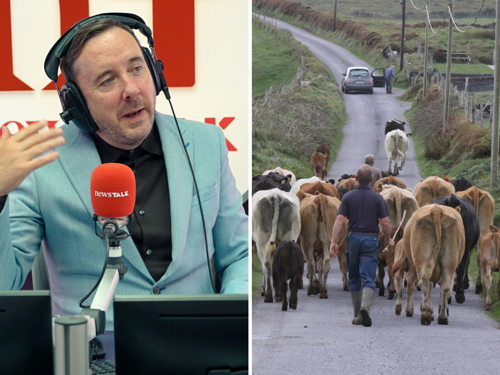 Nitrates derogation is 'shameful' for Ireland - Shane Coleman