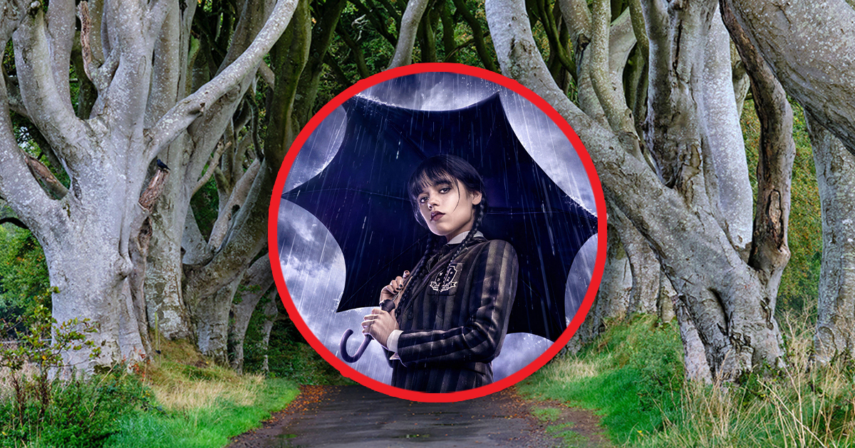 Netflix’s Wednesday Season 3 Begins Filming In Ireland