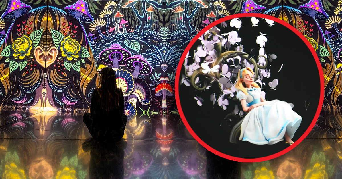Dream Point is inviting Dubliners to step through the looking glass this spring with its most ambitious transformation yet — a full-scale ‘Alice’s Wond...