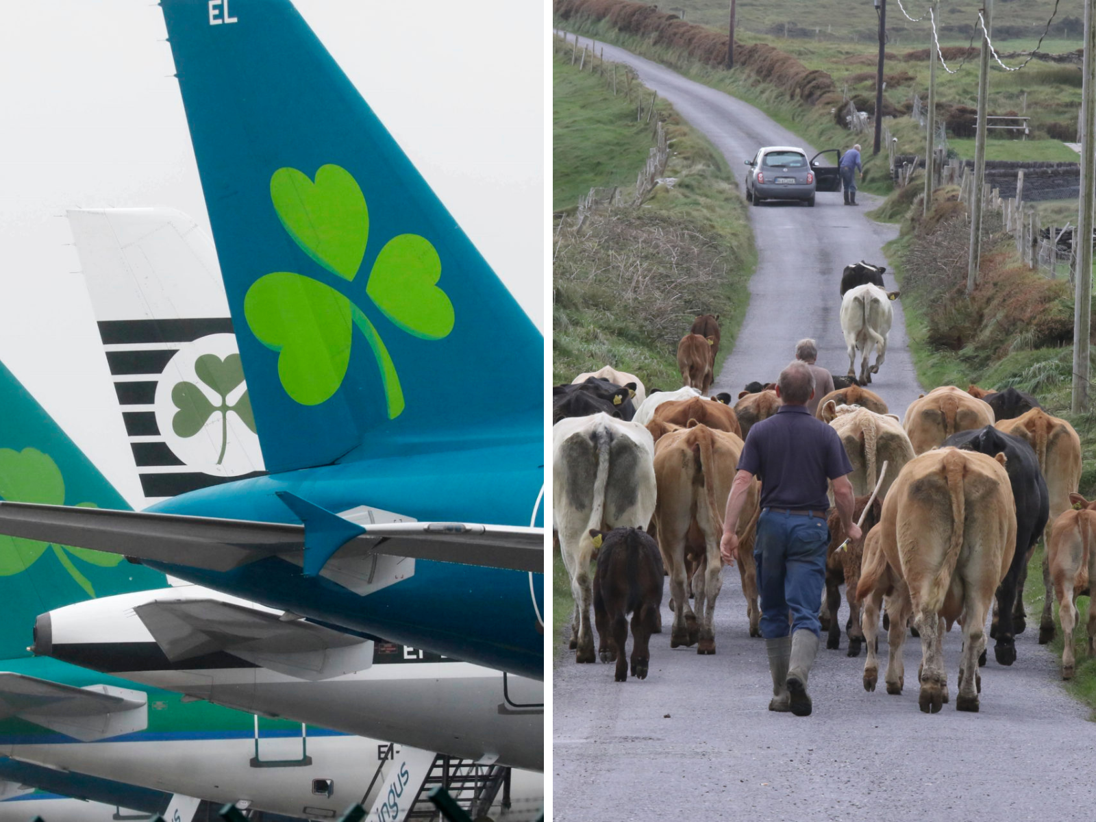 Farmer's daughter 'saw red' after Aer Lingus served Slovakian milk