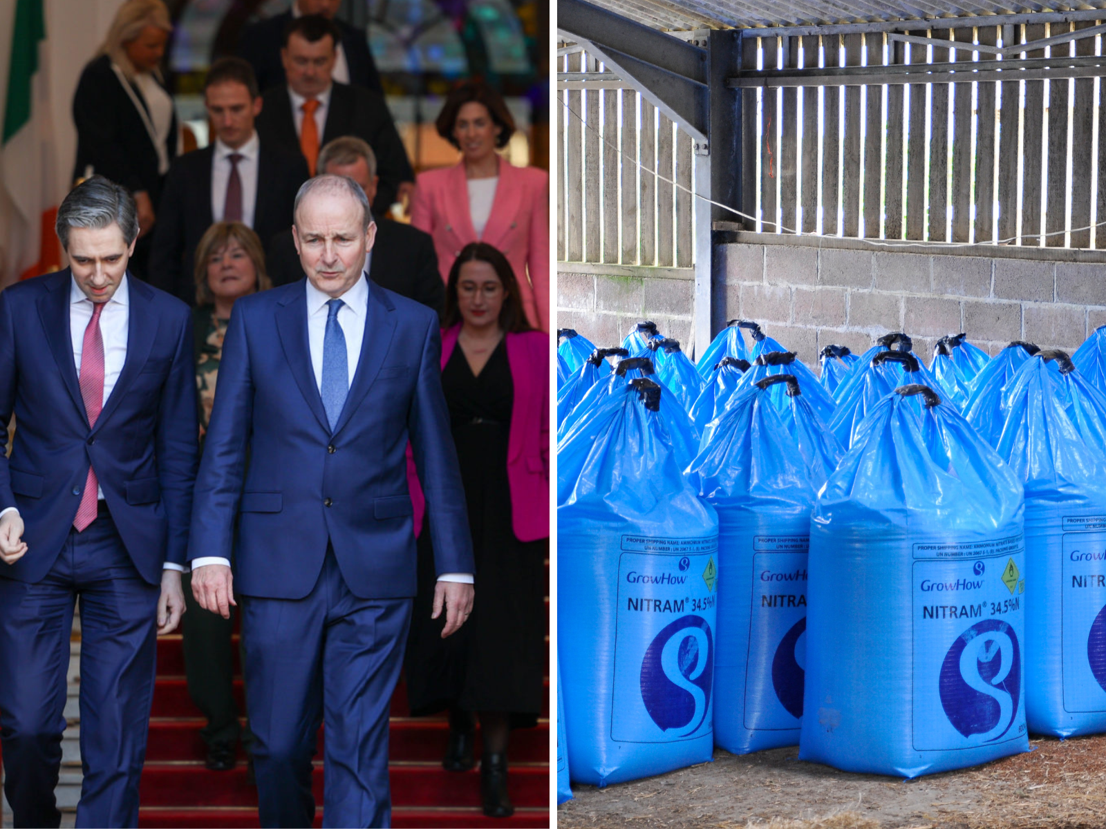 Government might subsidise fertiliser if war continues - Martin