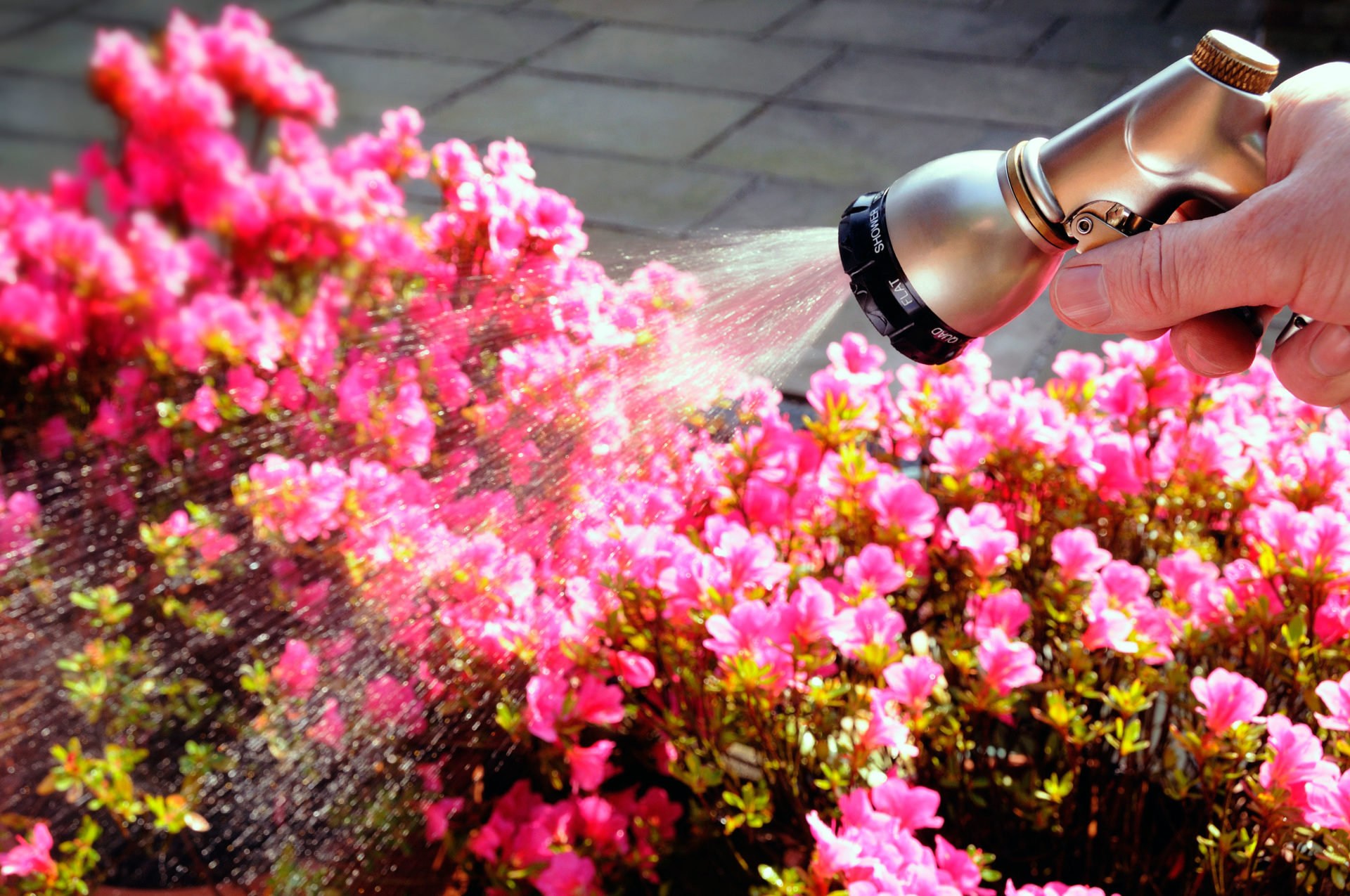 'Possibility' hosepipe ban could last until September - Uisce Éireann