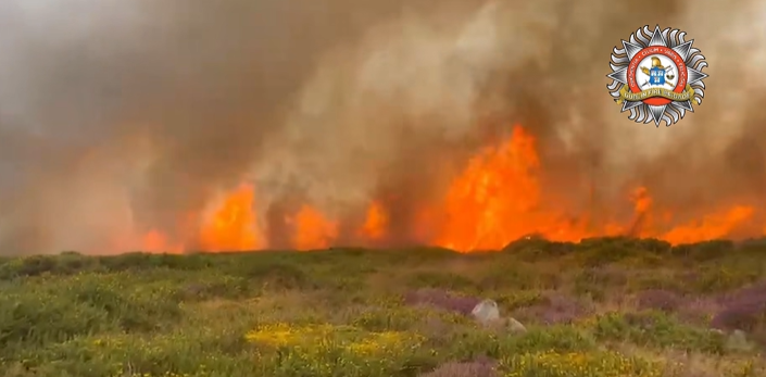 Antoinette said on Friday the flames began to creep towards her home, which led her mother to remind her of the location of her will.