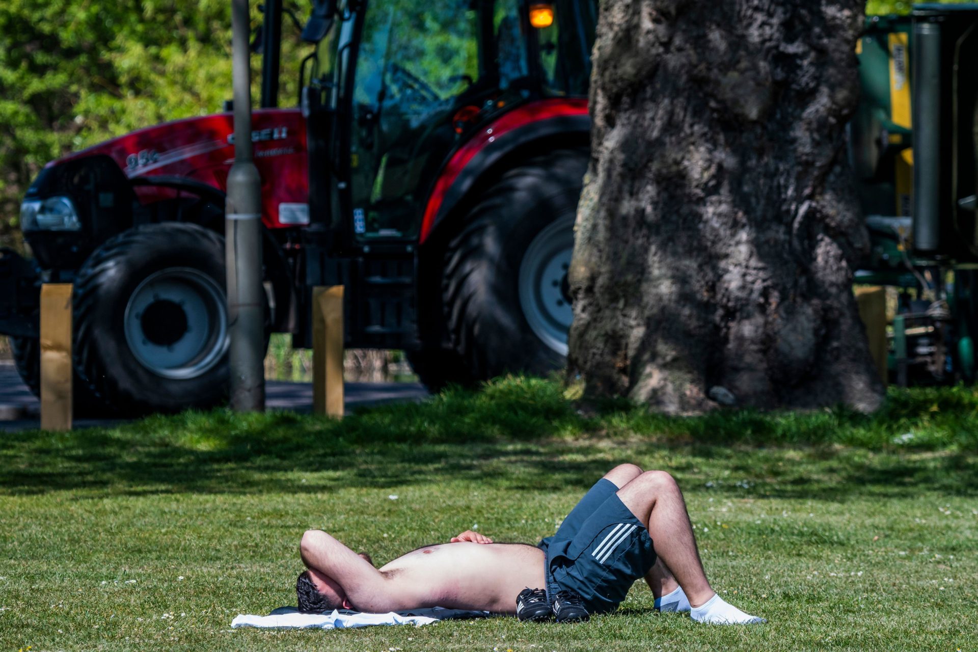 Farmers ask for compensation after 'unprecedented' summer heat