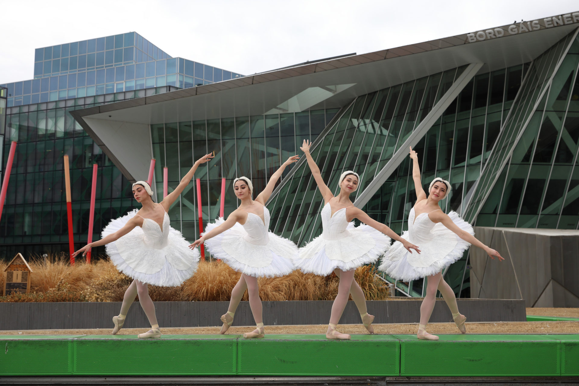 Swan Lake Dancers Touch Down In Dublin With Extra Performance Added