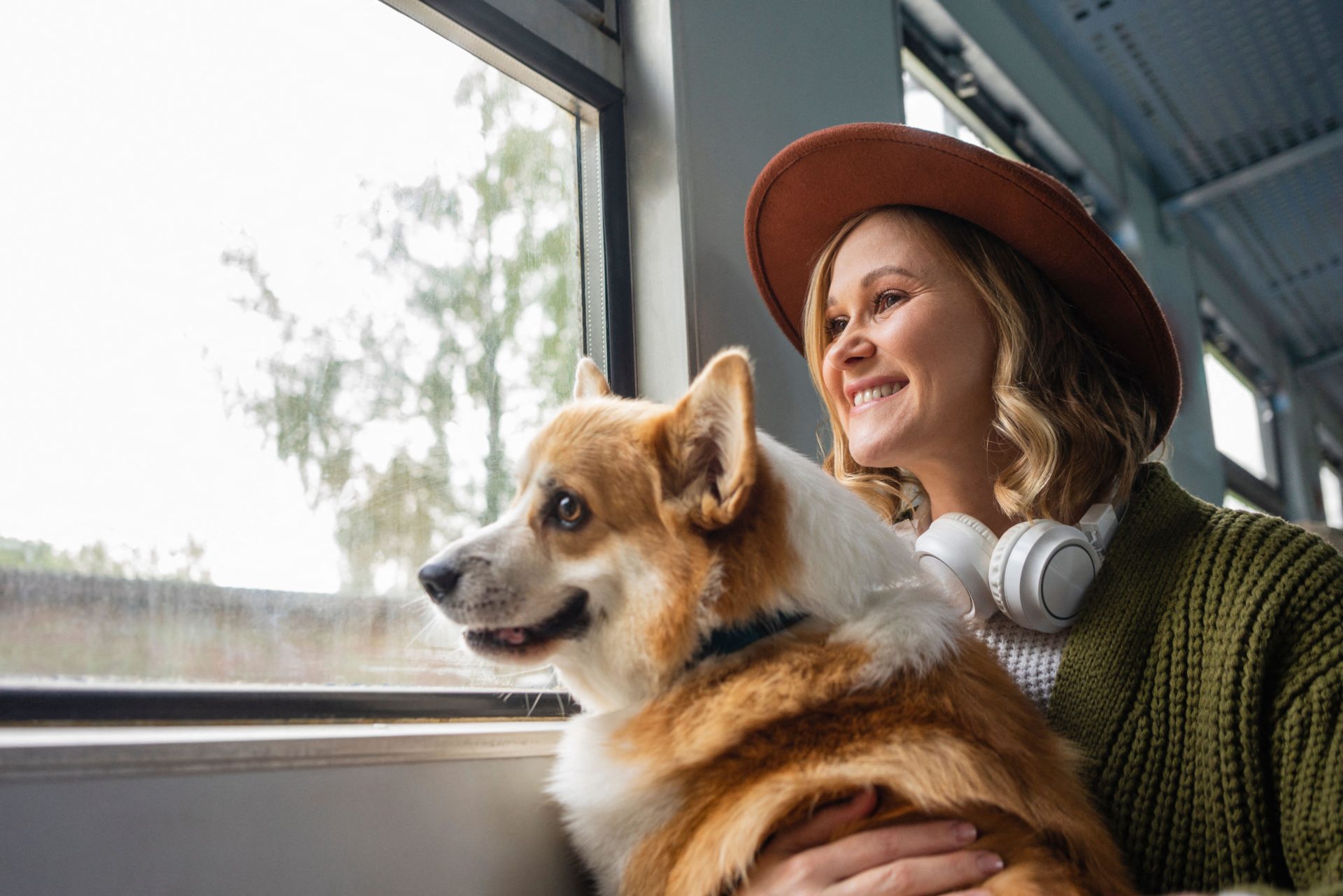 'My biggest fear' - NTA will allow pet dogs and cats on public transport