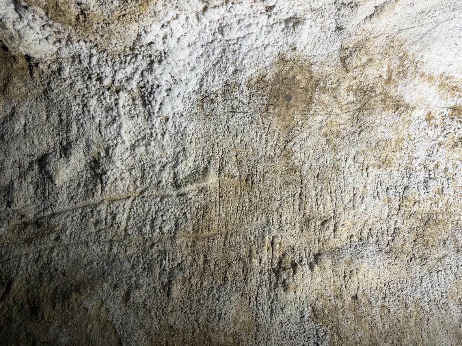 The pre-historic markings. 