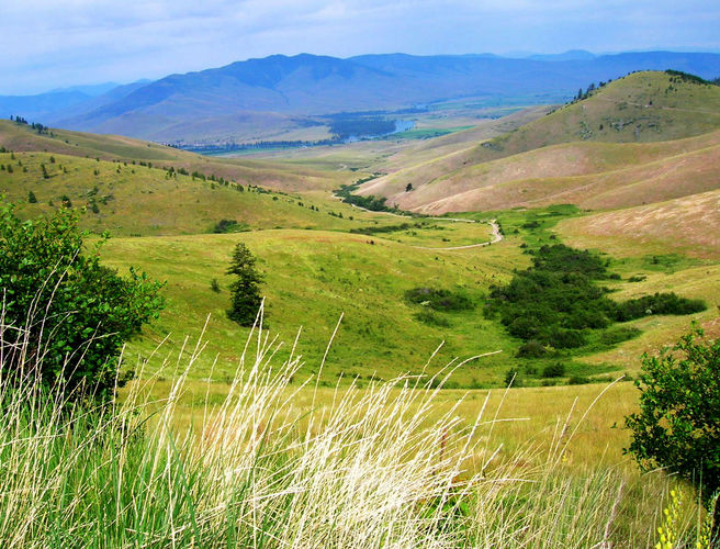 Far Off Hills Are Green - Part 1