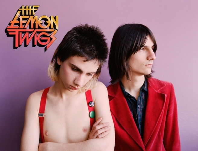 The Lemon Twigs - an interview with Brian episode artwork