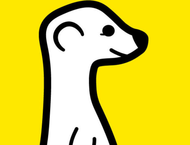 Meerkat App